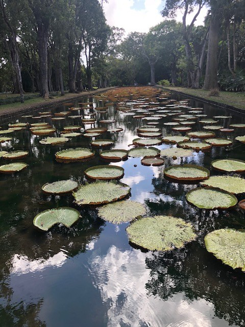 BDB307A0-742C-4A7E-B7E0-18323D154F33