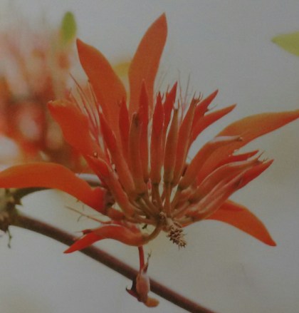 IMG_20190123_112828 (1).jpg