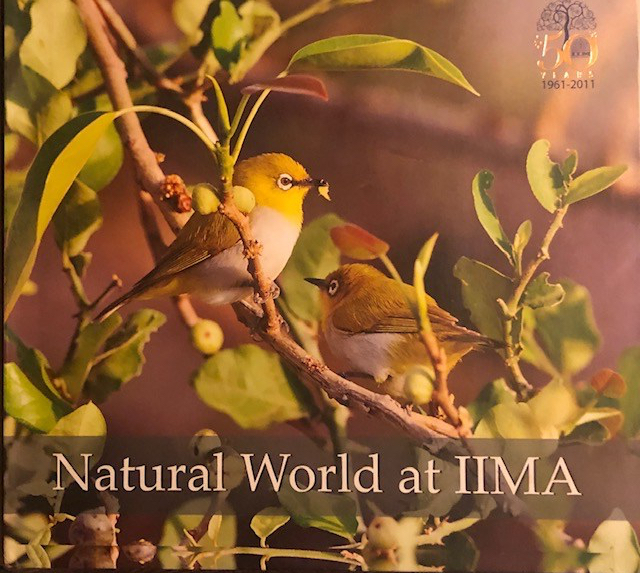 725A7EA1-5F1C-4DD8-95C8-861F797A653B