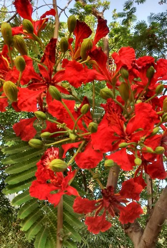 IMG_20190507_100249 (1).jpg