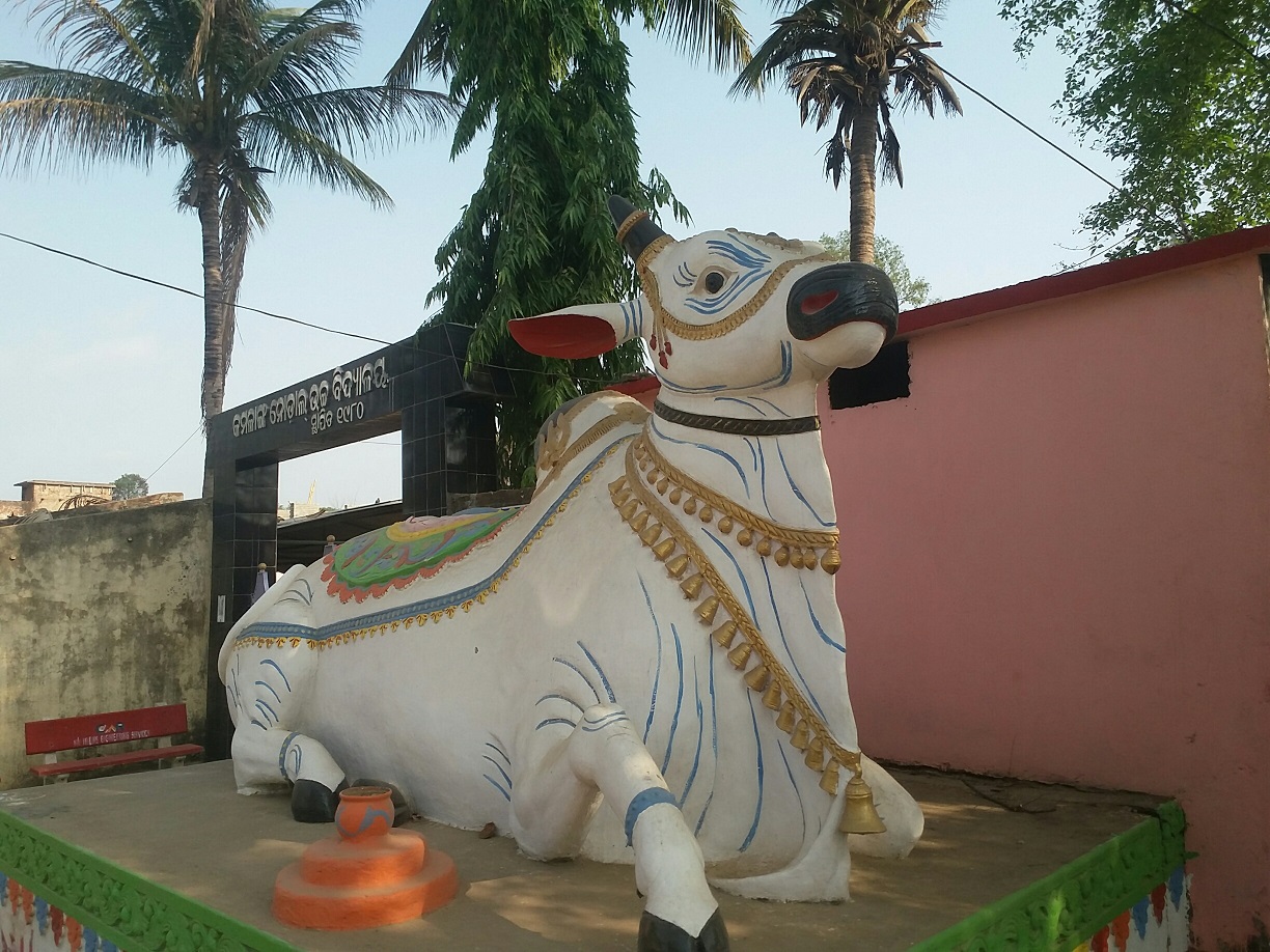 nandi
