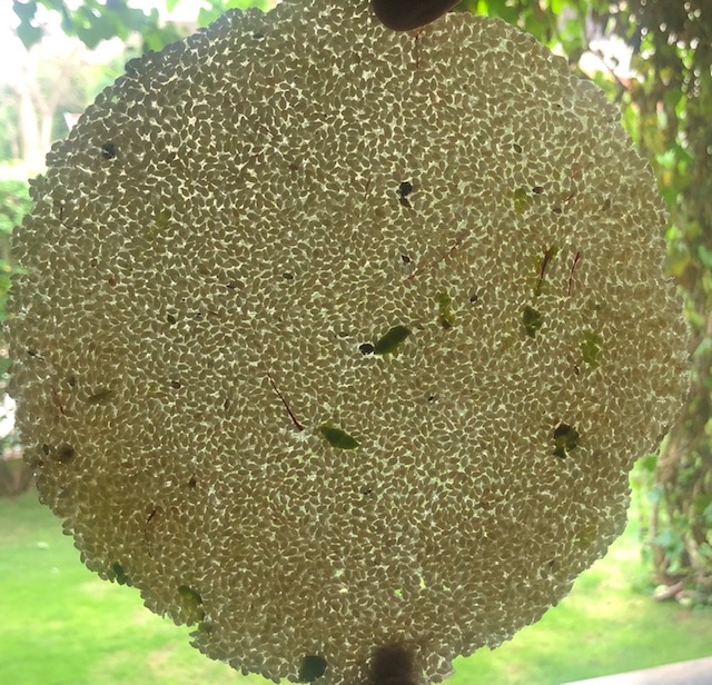 055F6DD4-BC24-4333-B75D-C362216E65A6