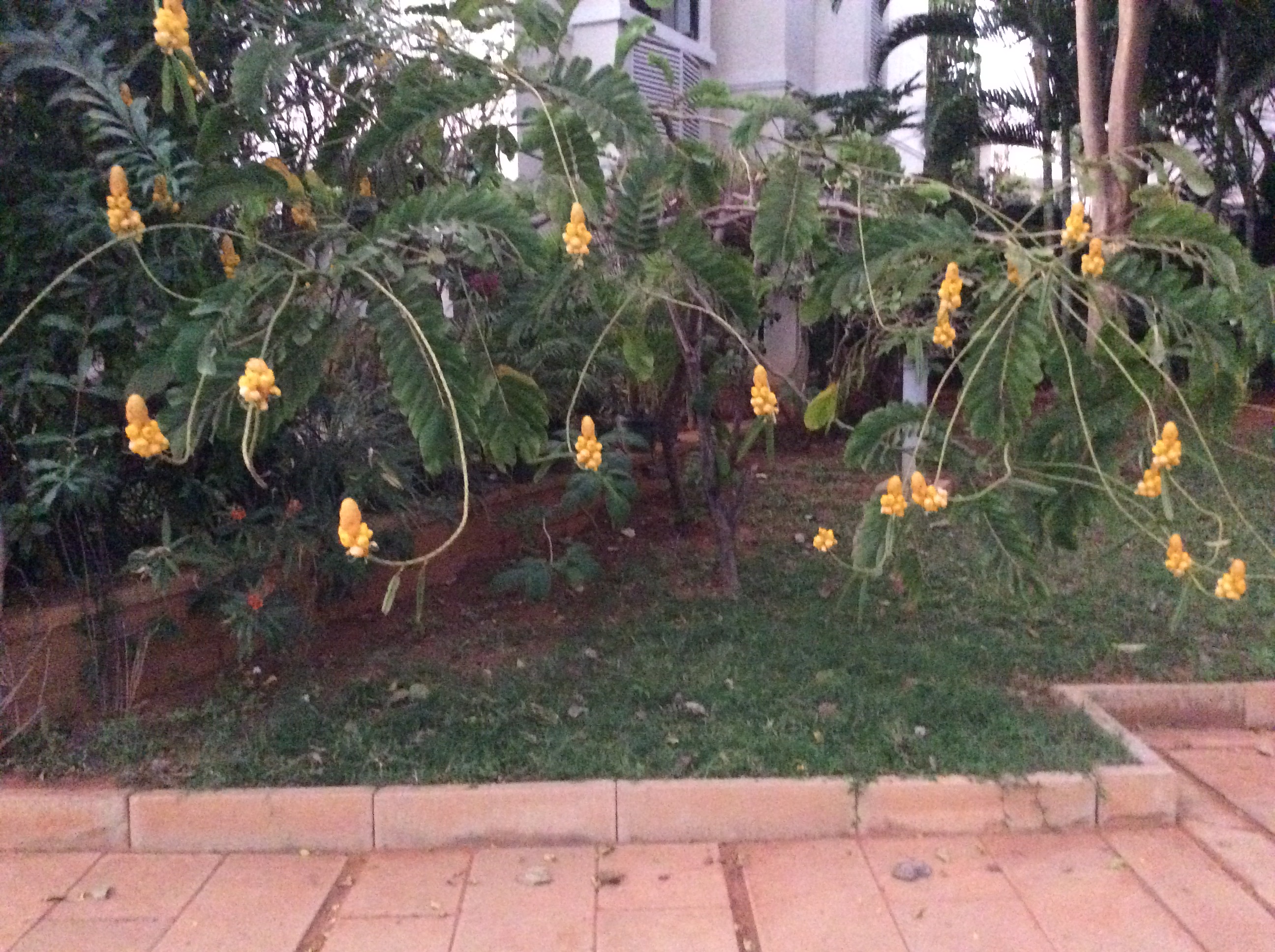 D268048C-DD39-4287-B9B7-279D6073FAE4