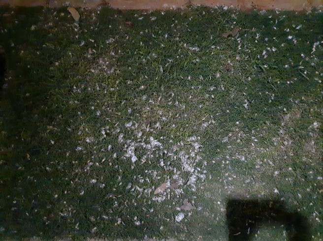 68811143-005D-42A1-BBF5-06B5CB2BD4A2