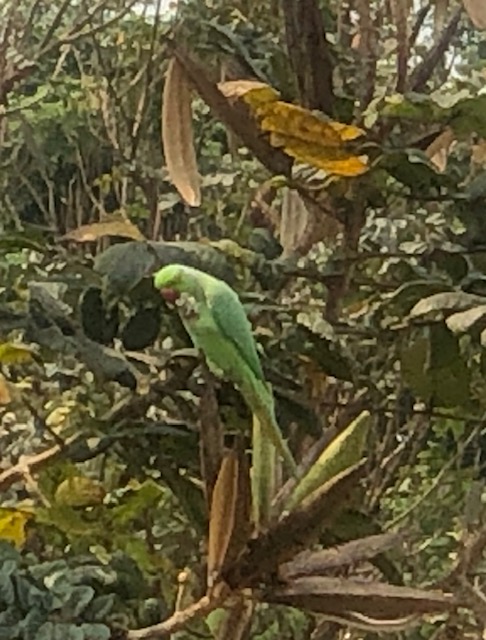 B8280DE8-67A2-433F-9555-2A0C839436CD