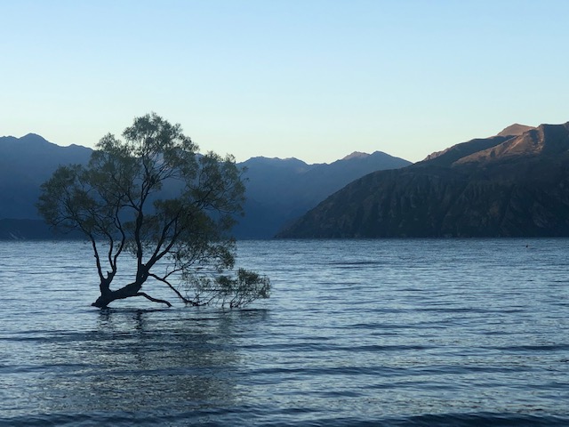 CF37A480-1747-49E9-9F79-48FCA5BAC580