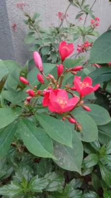 IMG_20200306_071238550 (1).jpg