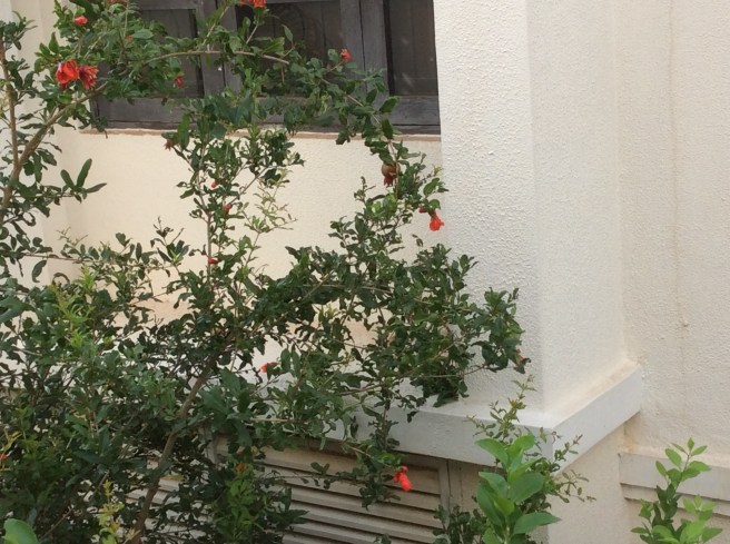 BFCA646E-31A4-47A9-AB75-B961DD704B3E