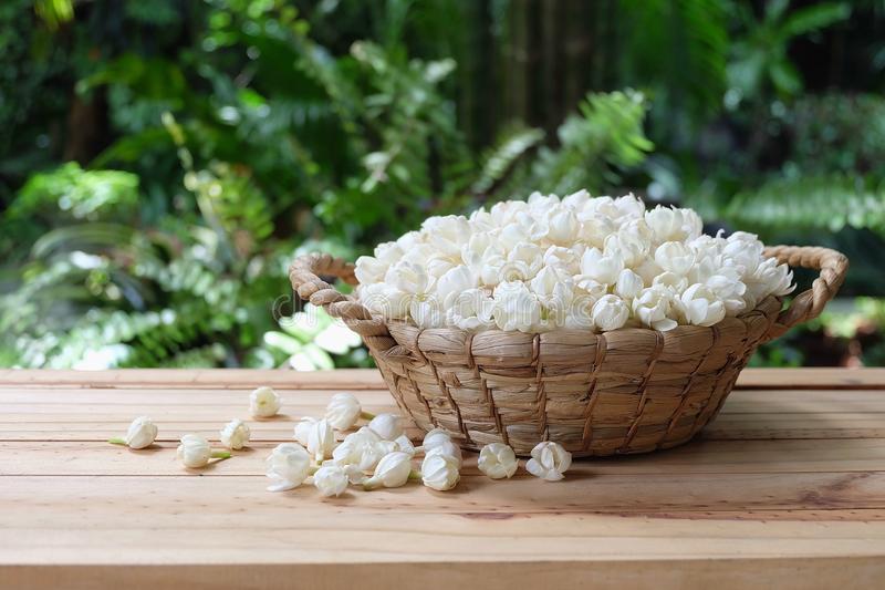 95779731-CD38-4586-A91A-2CBB675F7A0B