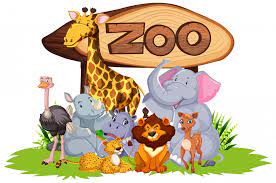 Zoo
